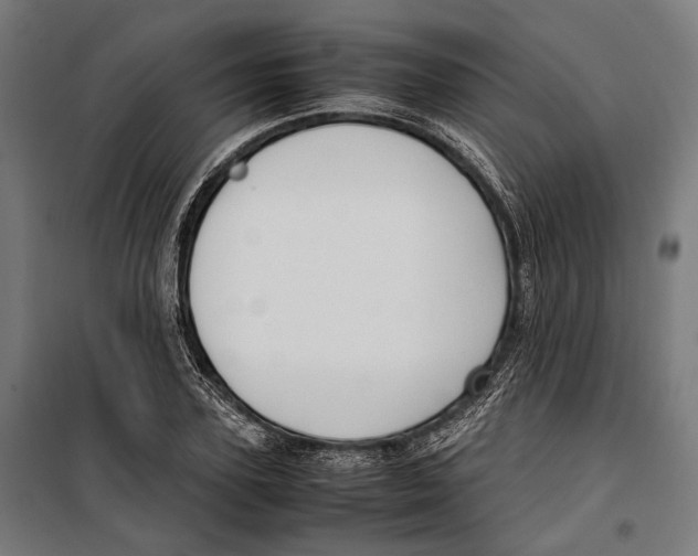 X0000099940931200806201117