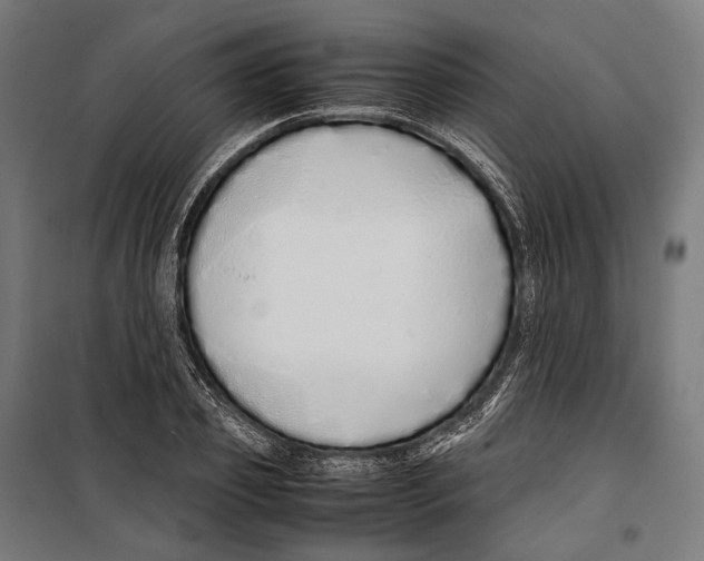 X0000099940933200806201117