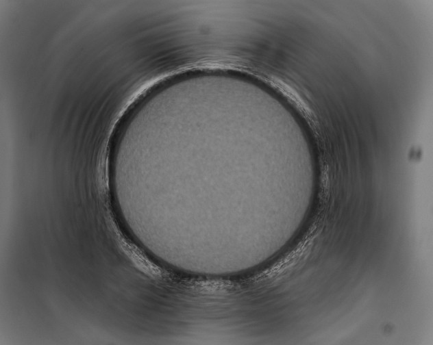 X0000099940934200806201117