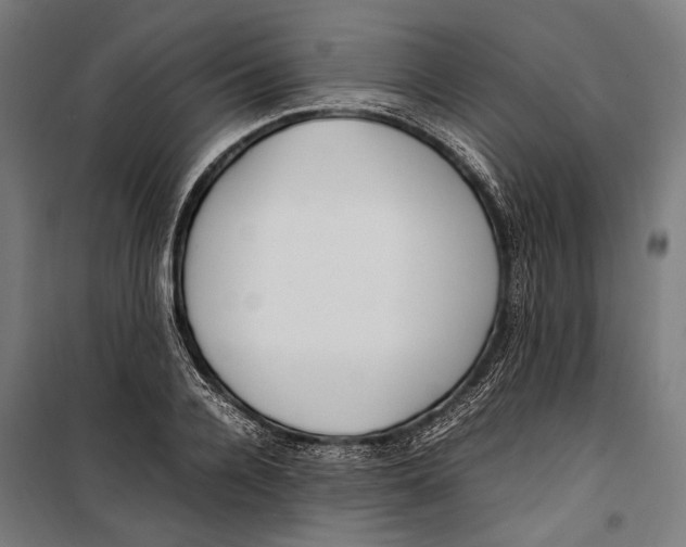 X0000099940936200806201117