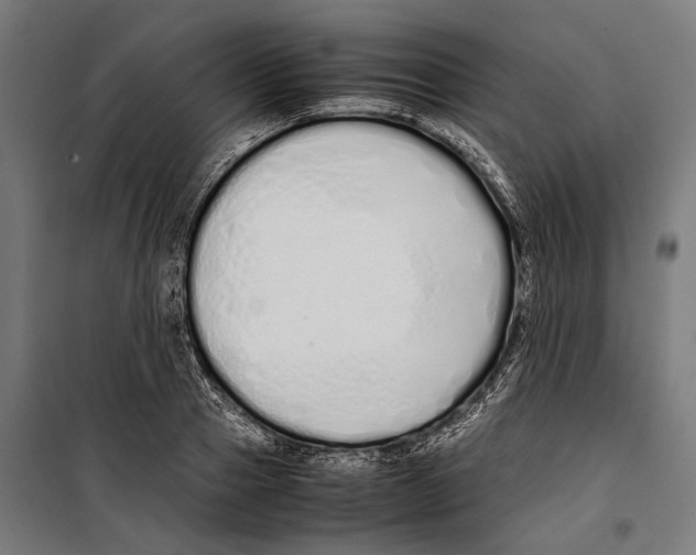 X0000099940937200806201117