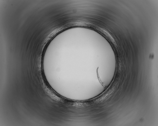 X0000099940938200806201117