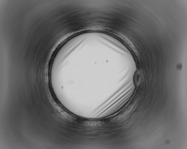 X0000099940939200806201117