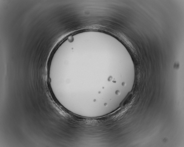 X0000099940940200806201117