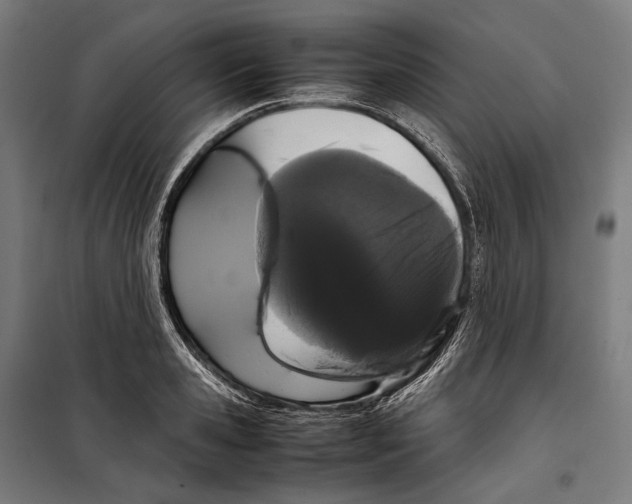 X0000099940941200806201117