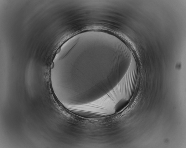 X0000099940945200806201117