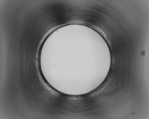 X0000099940947200806201117