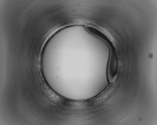 X0000099940948200806201117