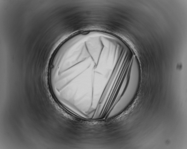 X0000099940949200806201117