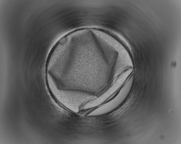 X0000099940951200806201117