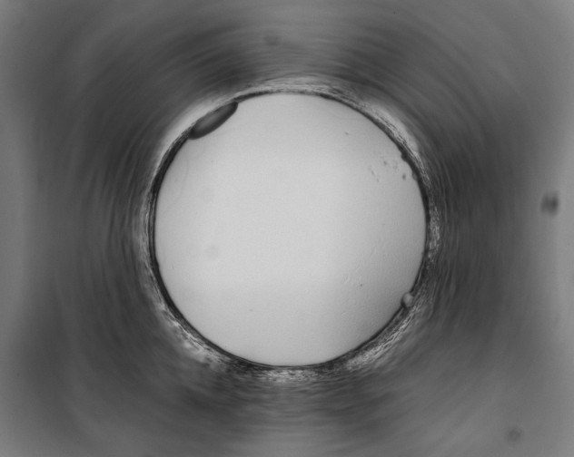 X0000099940952200806201117