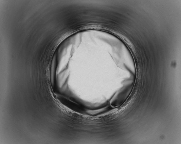 X0000099940953200806201117