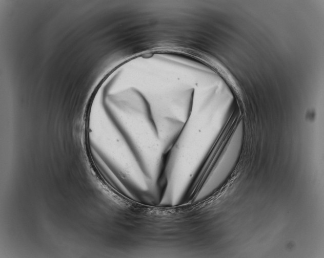 X0000099940955200806201117