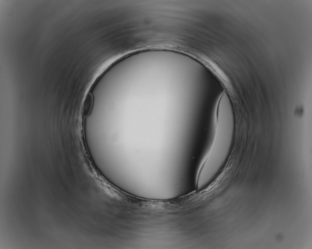 X0000099940956200806201117