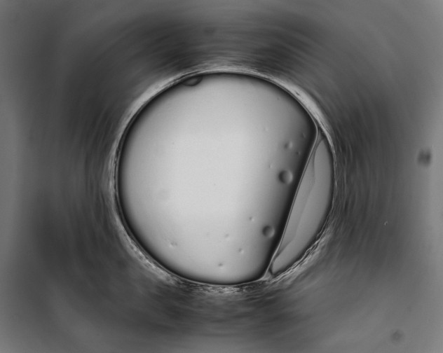 X0000099940957200806201117