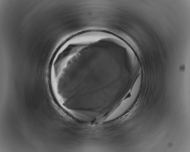 X0000099940958200806201117
