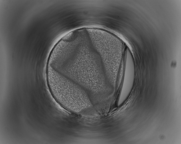 X0000099940959200806201117
