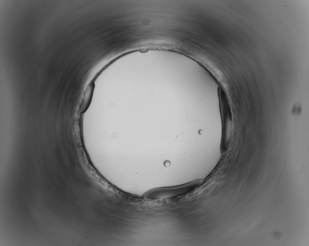 X0000099940960200806201117