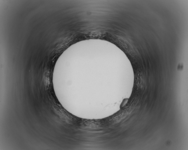 X0000099940962200806201116