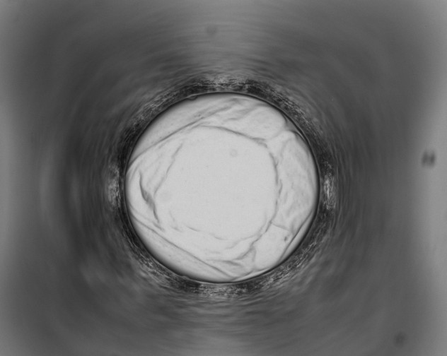 X0000099940963200806201116