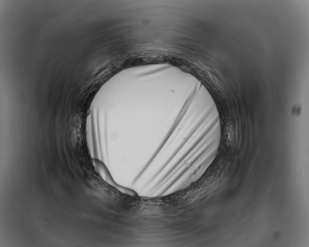 X0000099940964200806201116