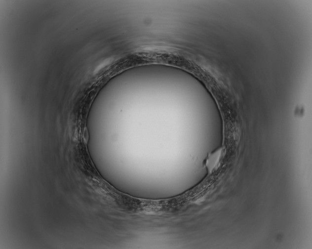 X0000099940965200806201116