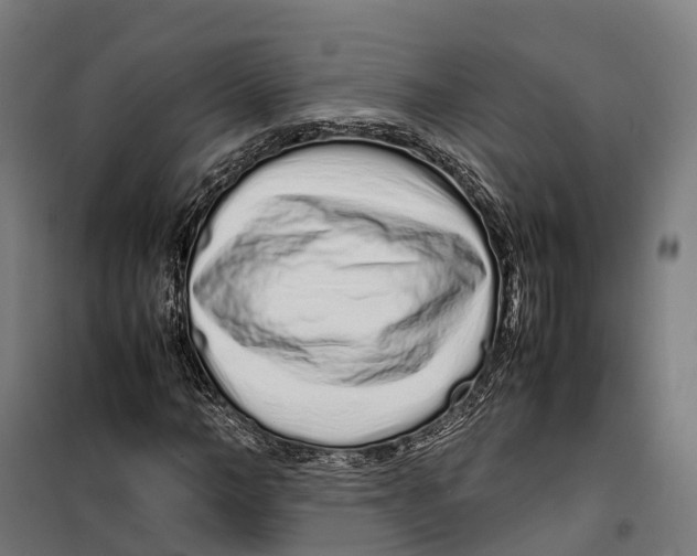 X0000099940966200806201116