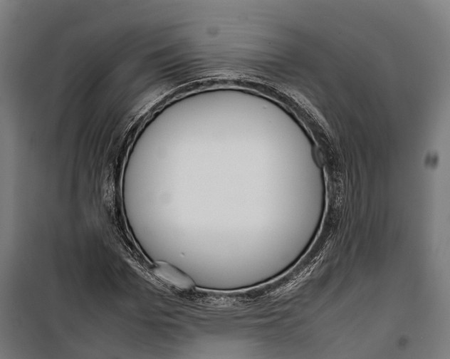 X0000099940969200806201116