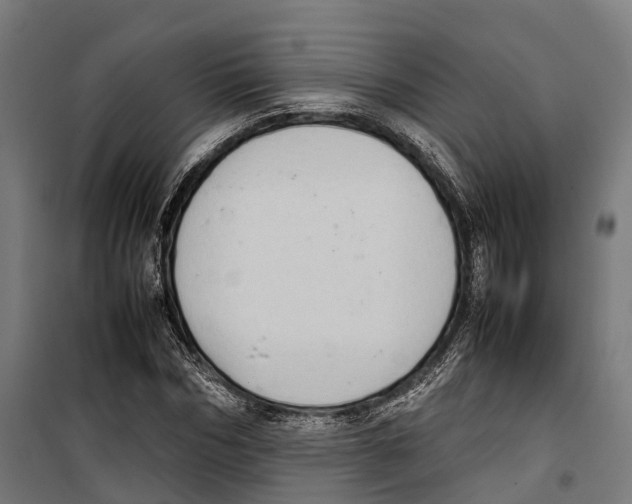 X0000099940970200806201116