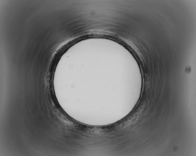 X0000099940971200806201116