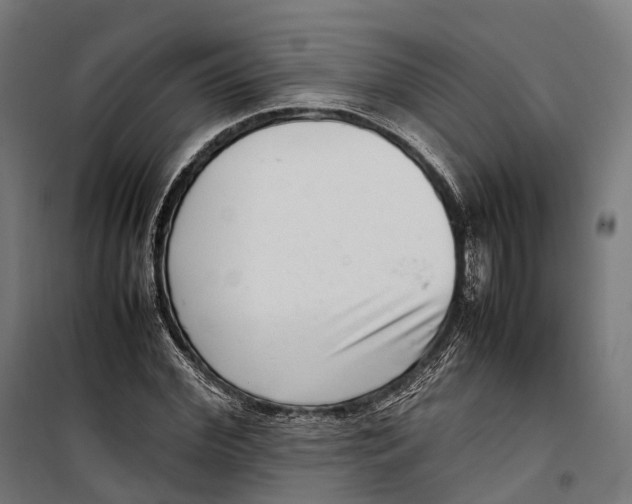 X0000099940972200806201116
