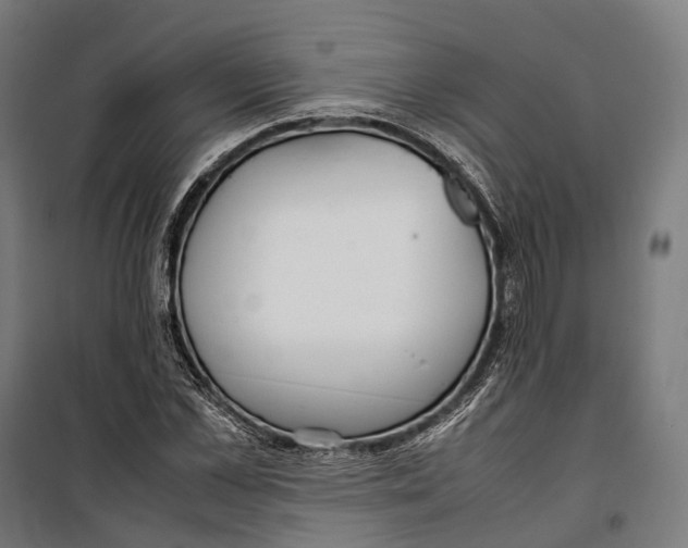 X0000099940973200806201116