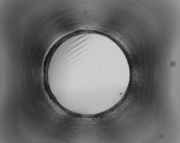 X0000099940976200806201116