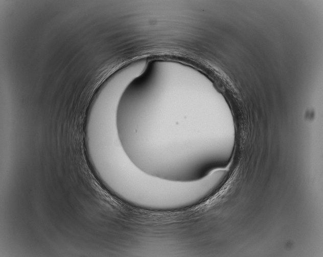 X0000099940977200806201116
