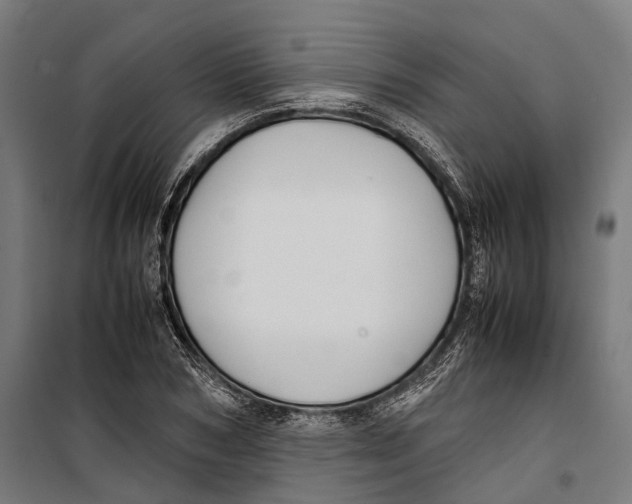 X0000099940978200806201116