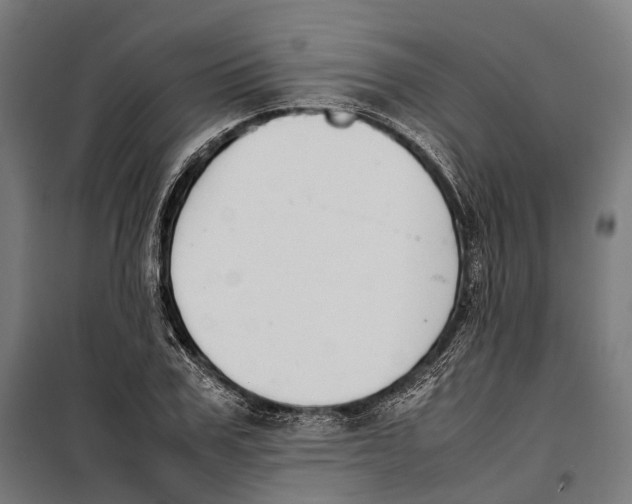 X0000099940979200806201116