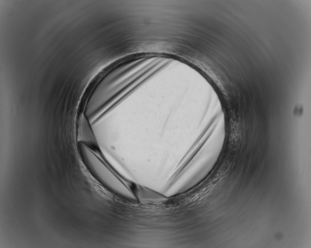 X0000099940980200806201116