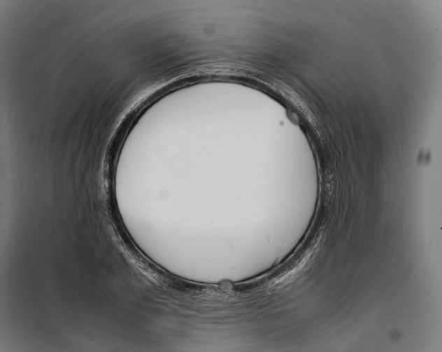 X0000099940981200806201116