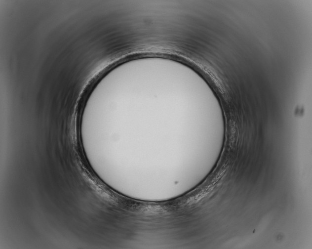 X0000099940982200806201116