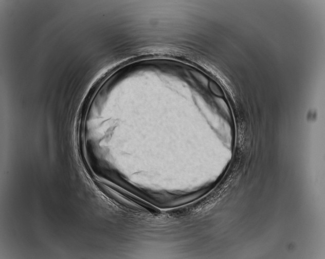 X0000099940983200806201116