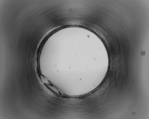 X0000099940984200806201116