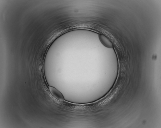 X0000099940985200806201116