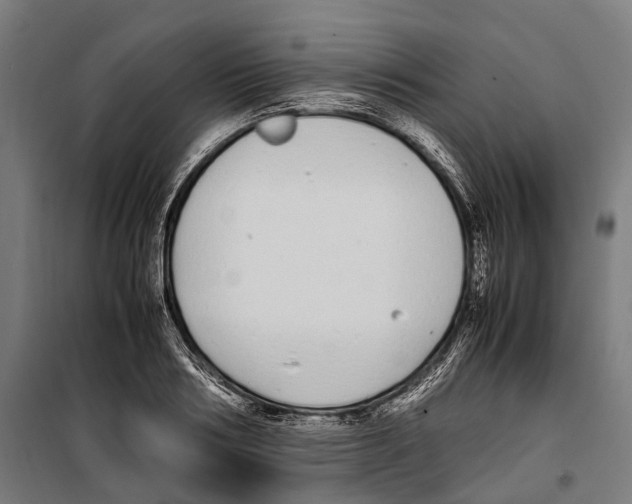X0000099940986200806201116