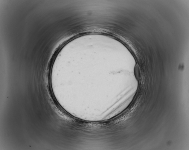X0000099940987200806201116
