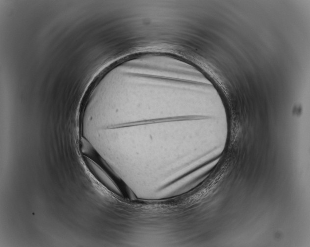 X0000099940988200806201116