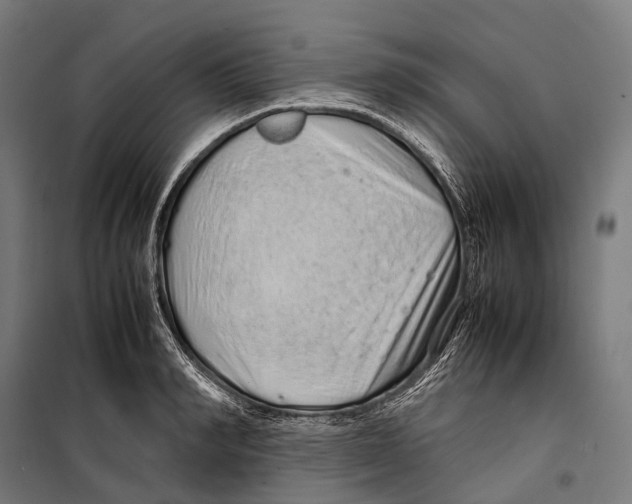 X0000099940990200806201116