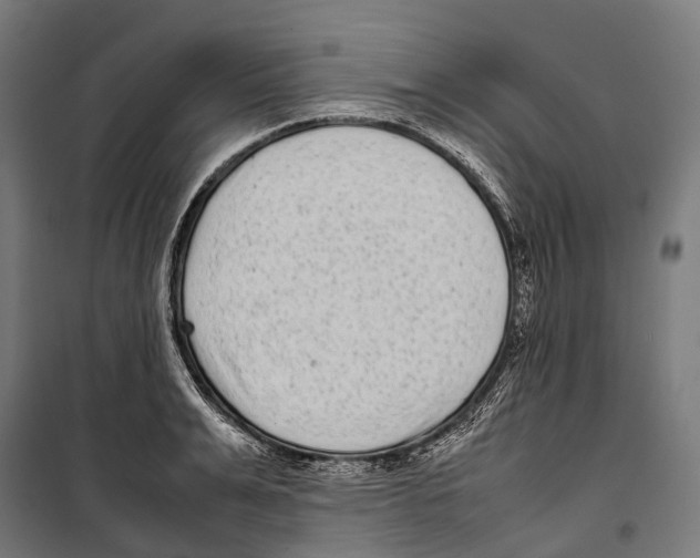 X0000099940991200806201116