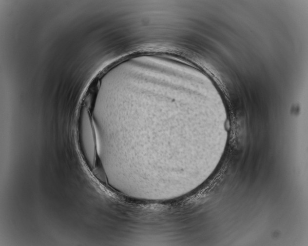 X0000099940992200806201116