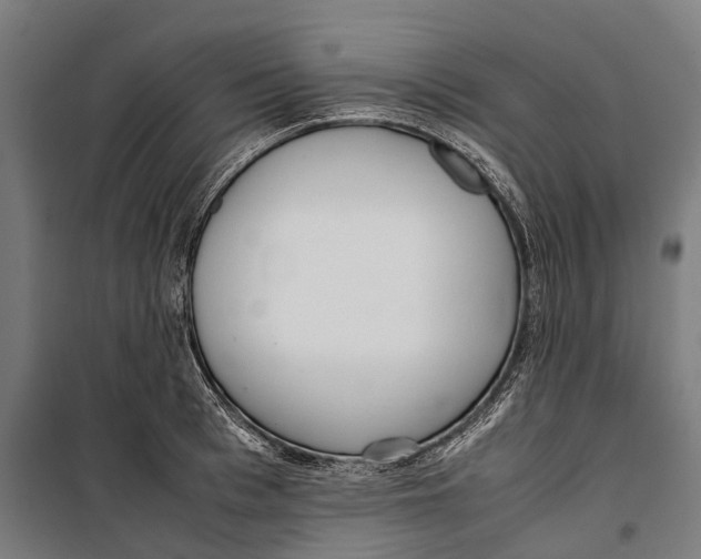 X0000099940993200806201116