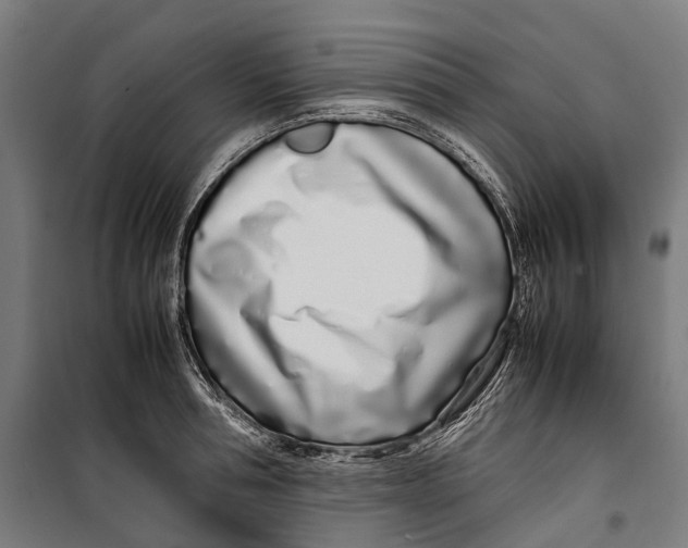 X0000099940994200806201116